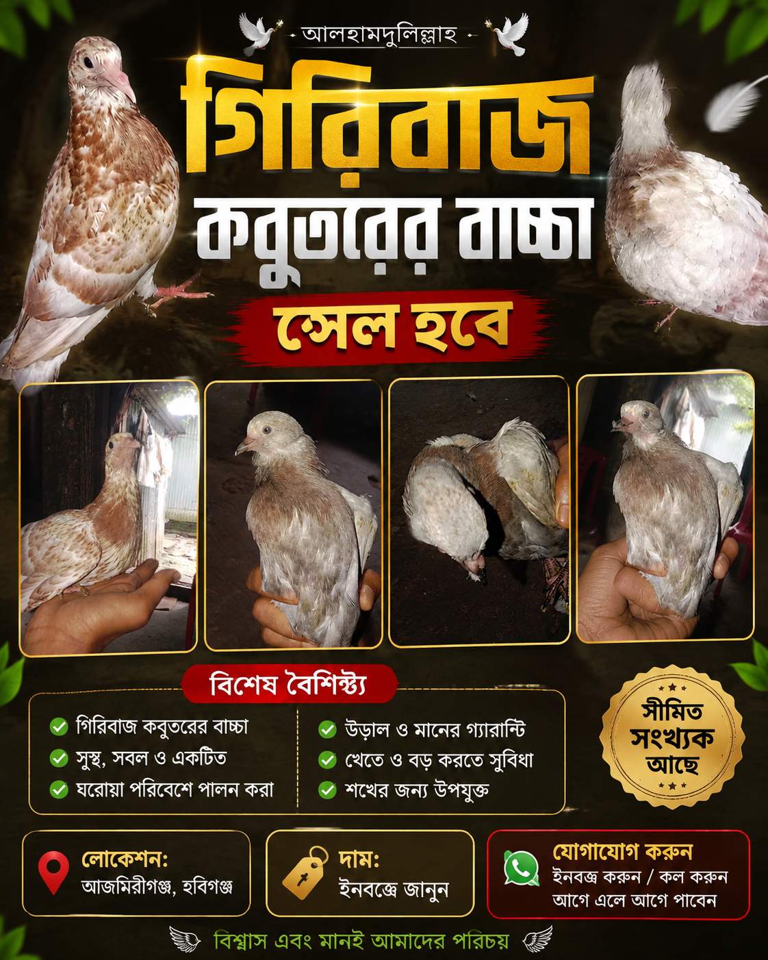 গিরিবাজ 